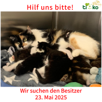 thumb_Fundtiere FB thumb_Fundtiere FB